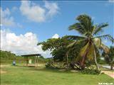 Los Machos Beach - CEIBA